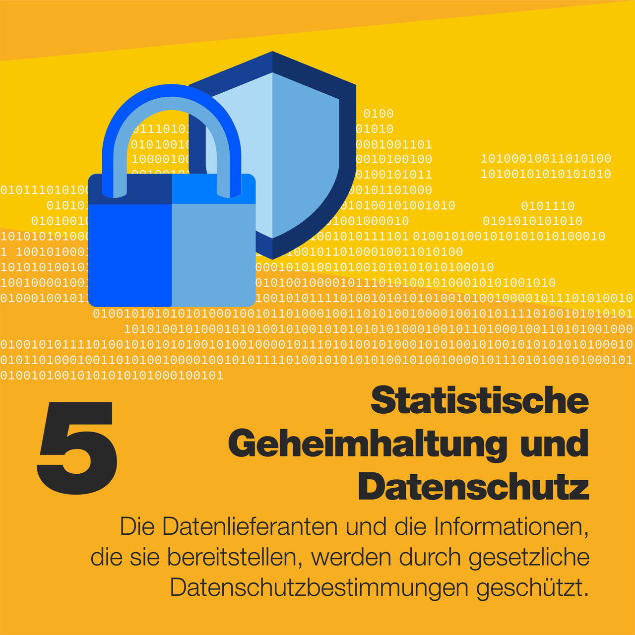 Infografik 5 Statistische Geheimhaltung und Datenschutz